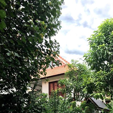 Pearl Paradise Villa Danang Exteriör bild